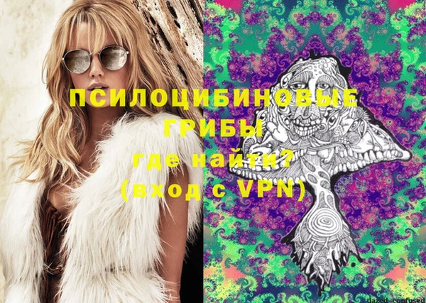 не бодяженный Алексин