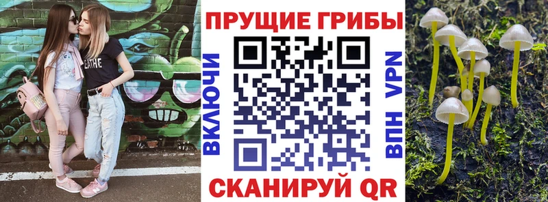 mega маркетплейс купить Нерехта Псилоцибиновые грибы прущие грибы
